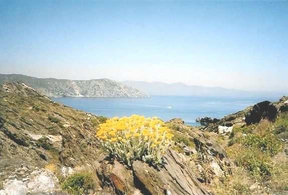 Cap de Creus