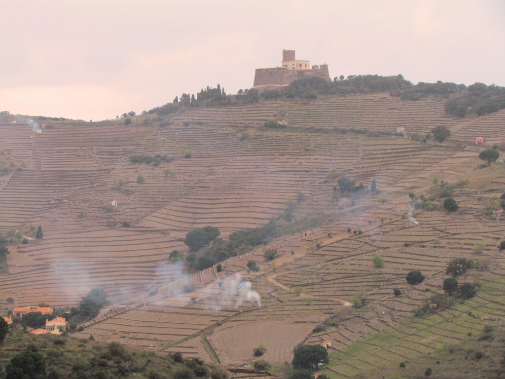 Fort St. Elme at 170m between Collioure & Port Vendres