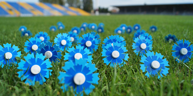 Le Bleuet de France - P-O Life