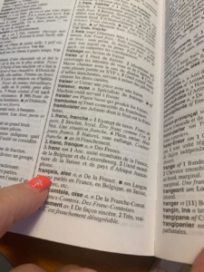 New words in the French Dictionary