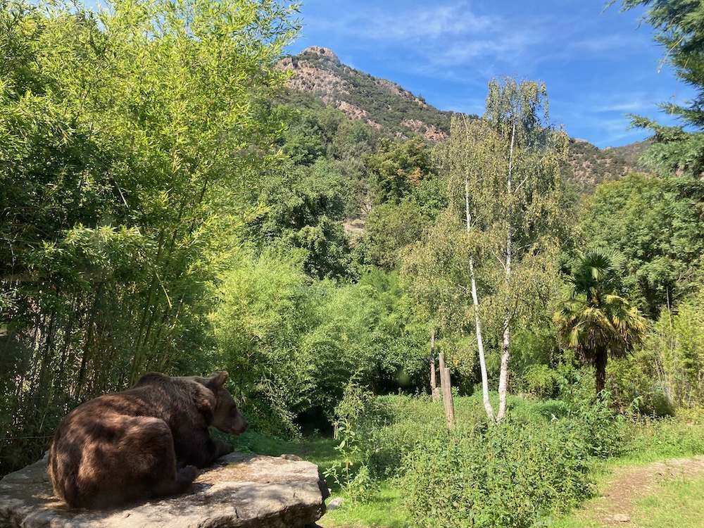 The Parc Animalier de Casteil.