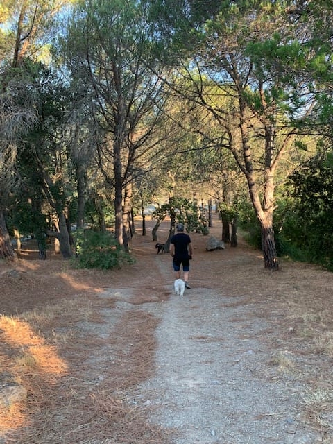 Saint Ferreol This circular walk takes you from Céret up to the ermitage where you can picnic 'on top of the world' surrounded by the most magnificent views