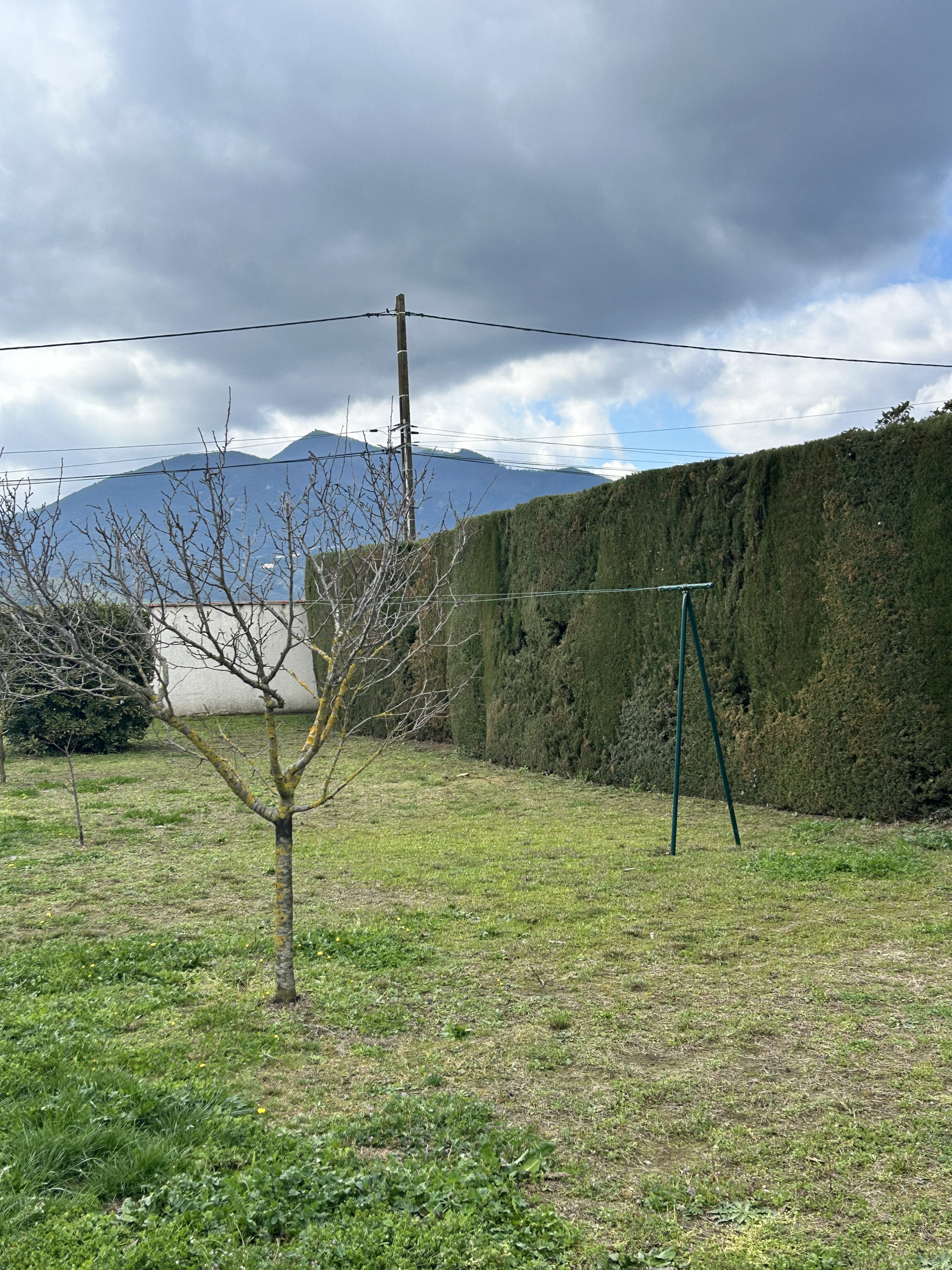 hedges and bushes/haies et buissons