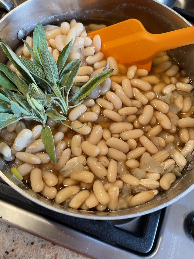 A TASTE OF LEGUMES – Spilling the Beans