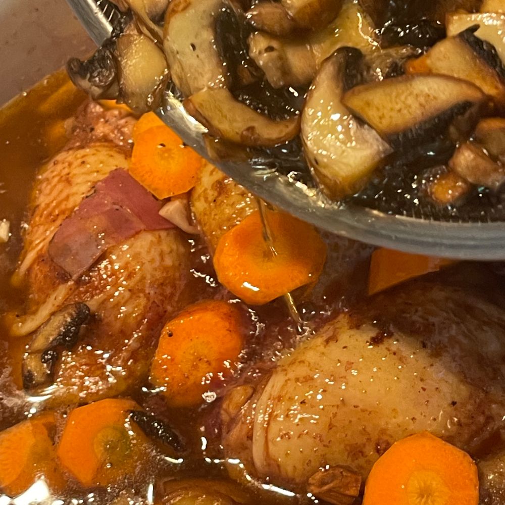 coq au vin