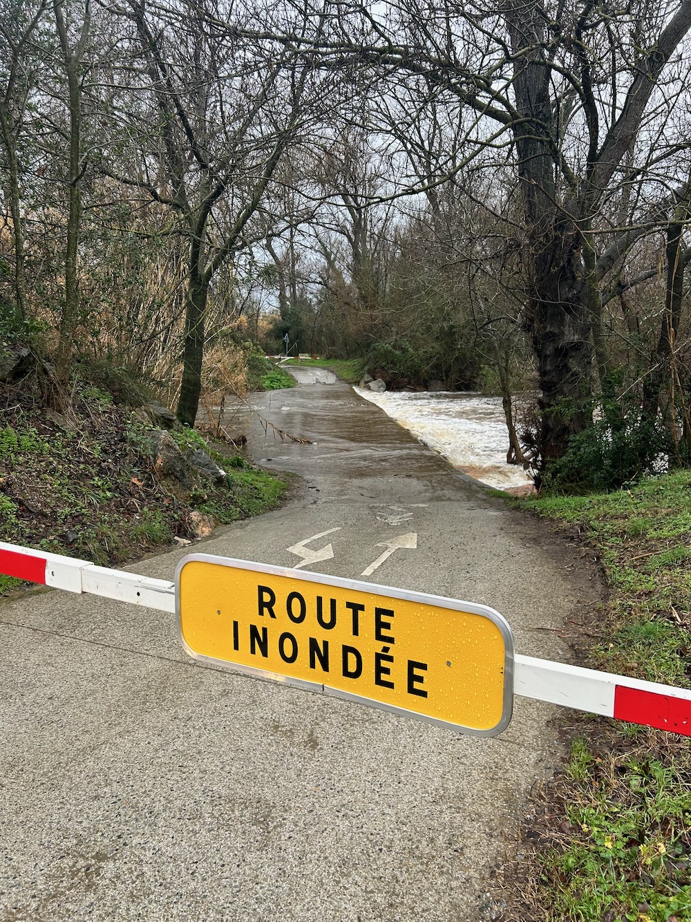 Easing of water restrictions in Pyrenees Orientales