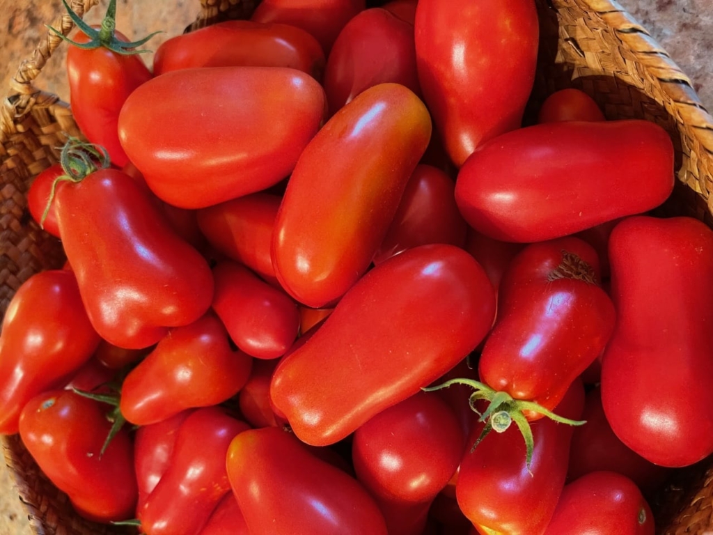 Gazpacho Grande....and with a twist
