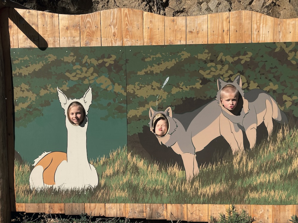 The Parc Animalier de Casteil.