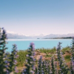 Alberes Property Management