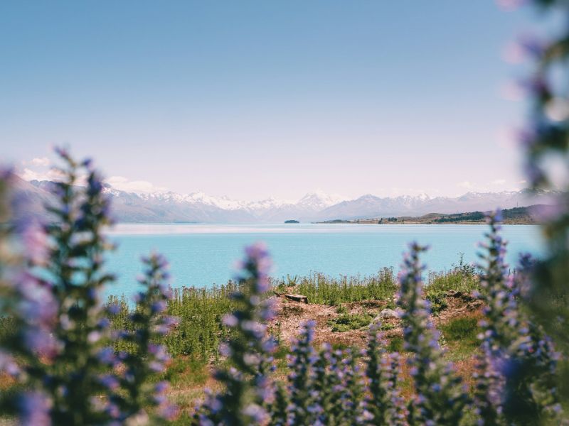 Alberes Property Management