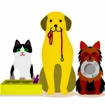 pet sitting