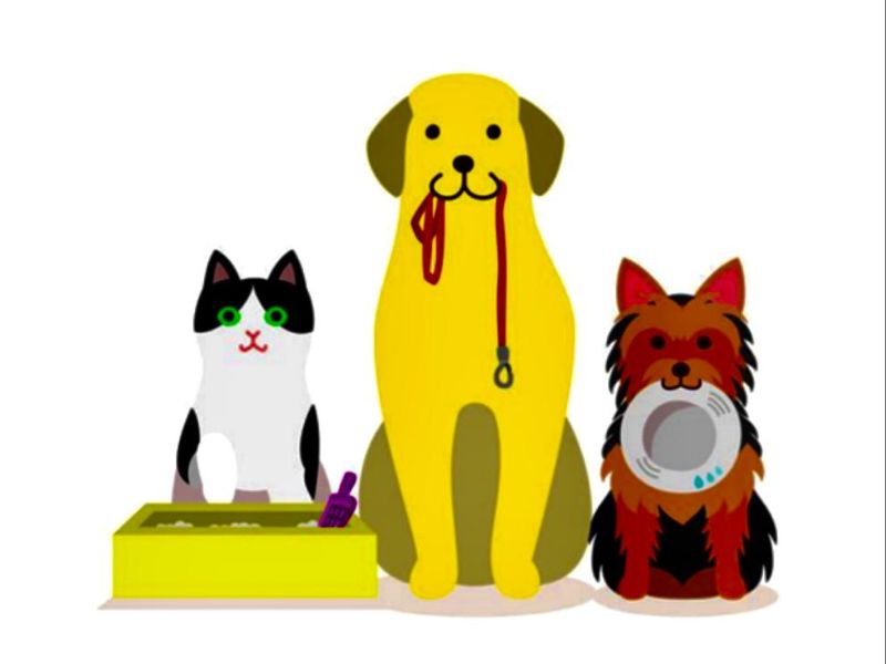 pet sitting