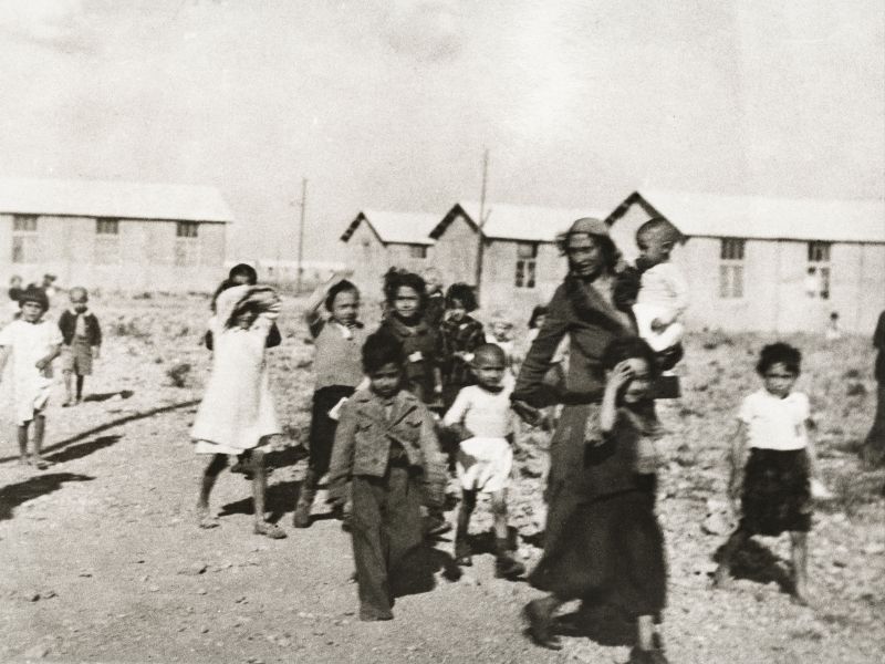 Les Nomads de Rivesaltes 3