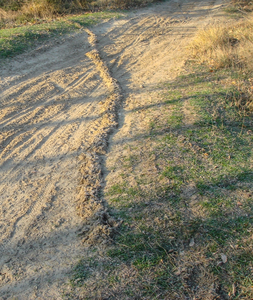 Mole tunnel