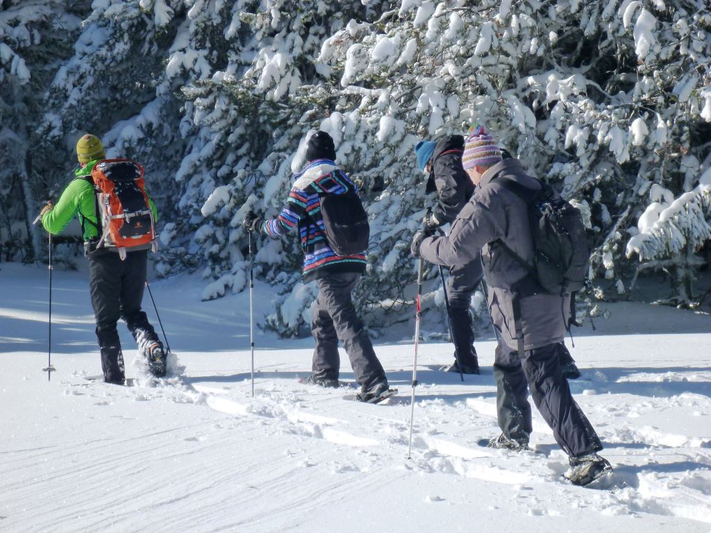 Snowshoe walk 