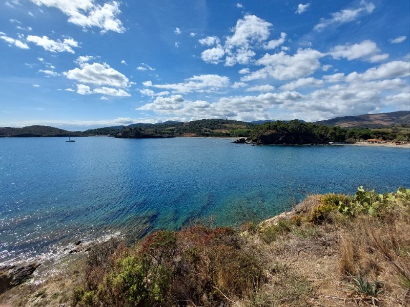 Paulilles bay and beaches