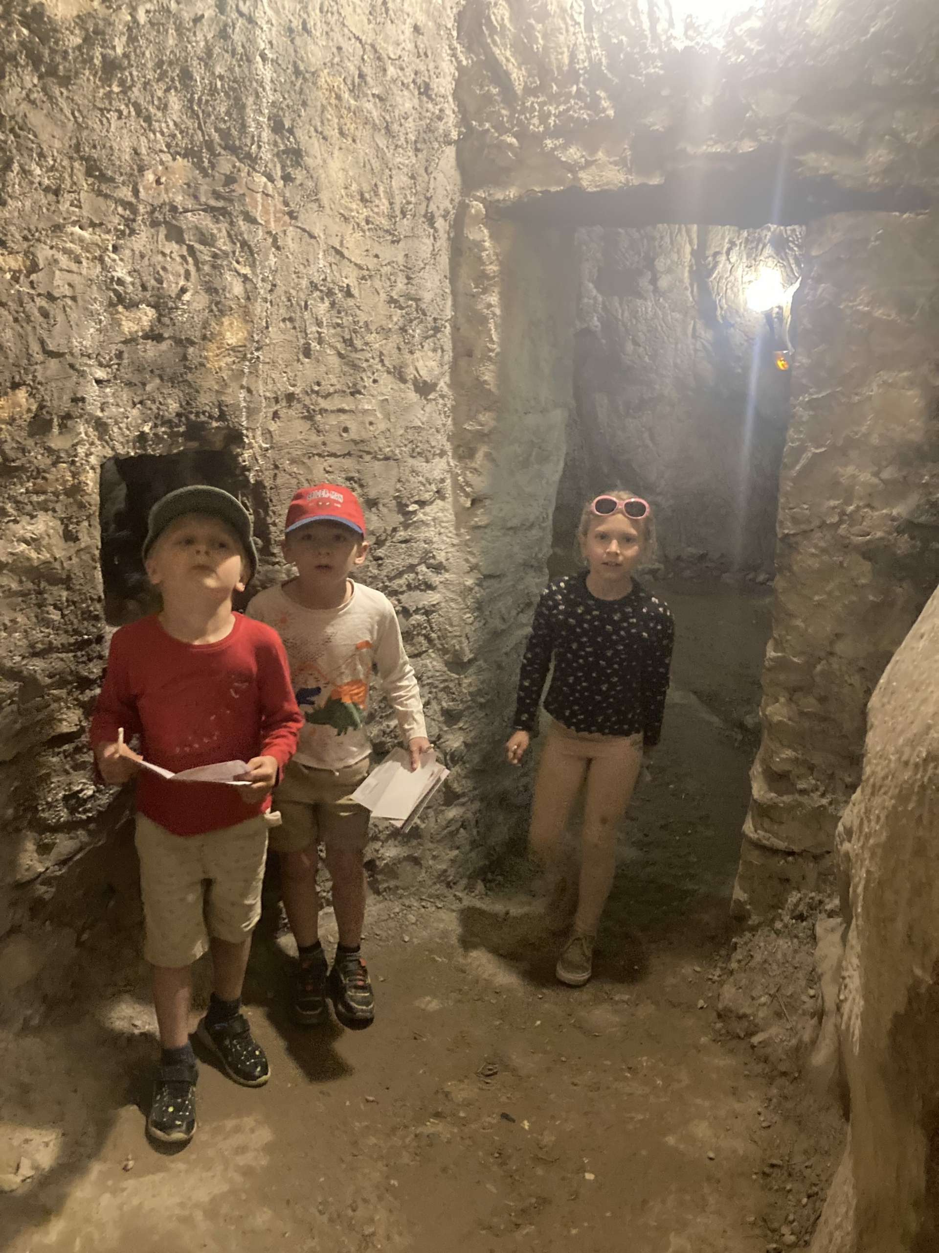 Dinopedia Experience This Conflent cave is an amazing, animated dinosaur experience.