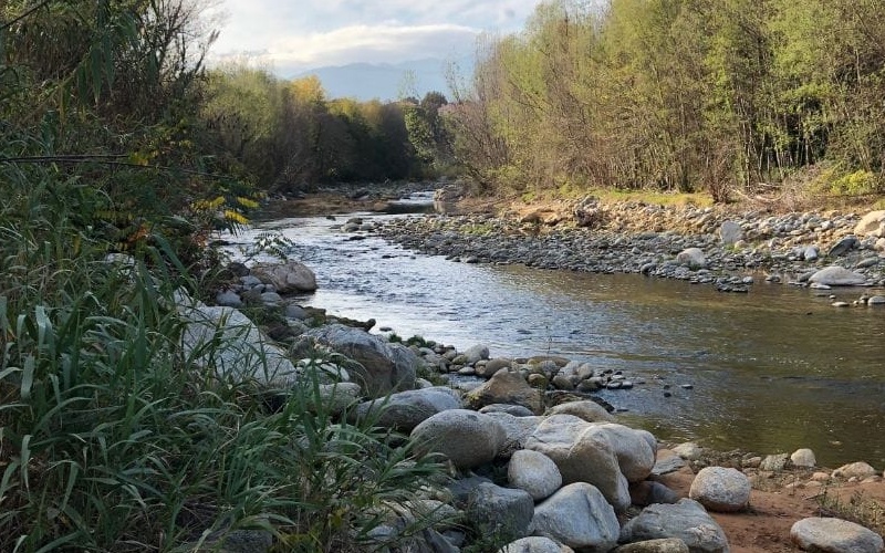 River-Tech