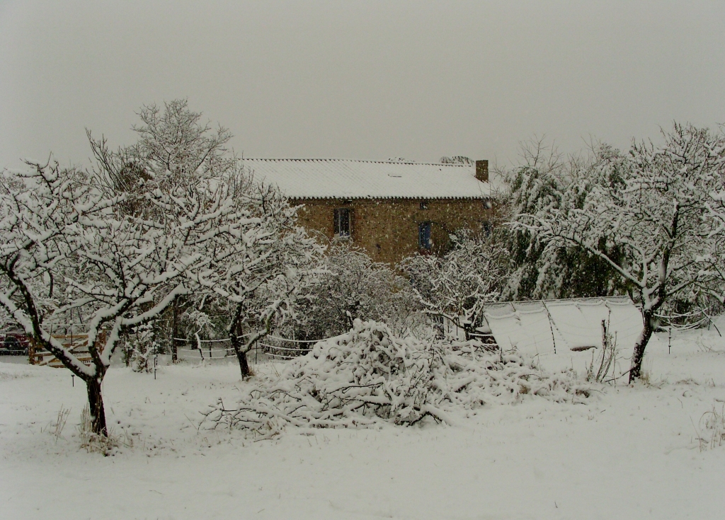 Ceret diaries