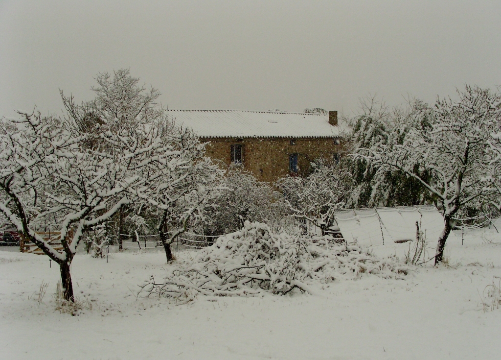 Céret Diaries