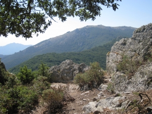 Sallfort from near summit of Massane
