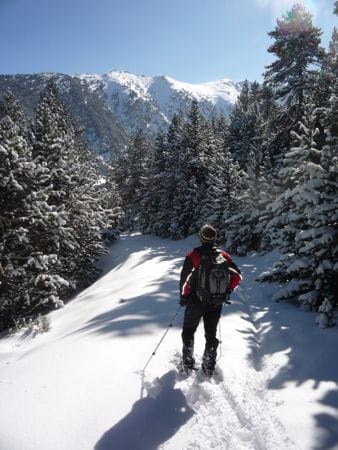 Snowshoe walk: Vallee de Planès, Haute Cerdagne