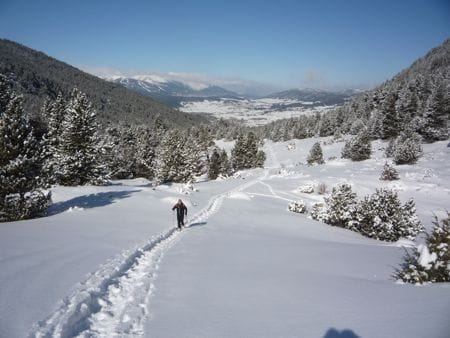 Snowshoe walk: Vallee de Planès, Haute Cerdagne