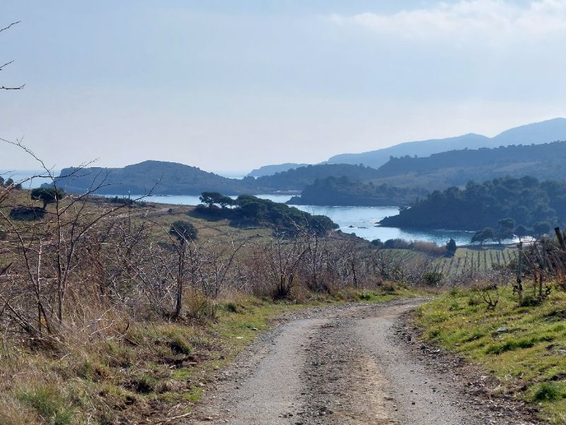 Track from Clos de Paulilles
