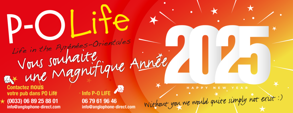 Bonne année bonne santé 2025