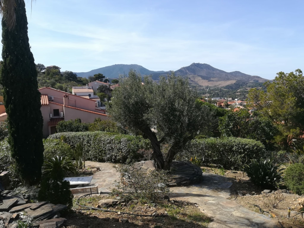 albera paysages