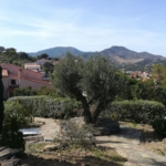 albera paysages