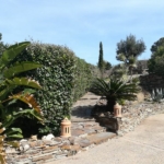 albera paysages