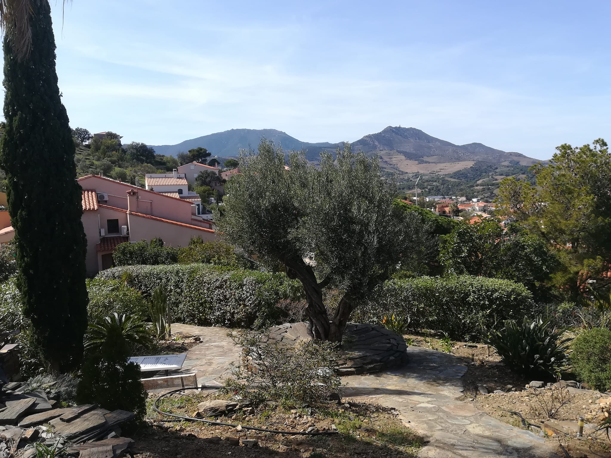 albera paysages
