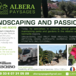 albera paysages