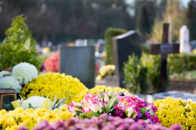 Chrysanthemums and graves in France