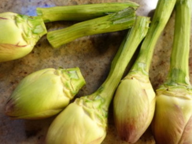 suzanne dunaway artichokes