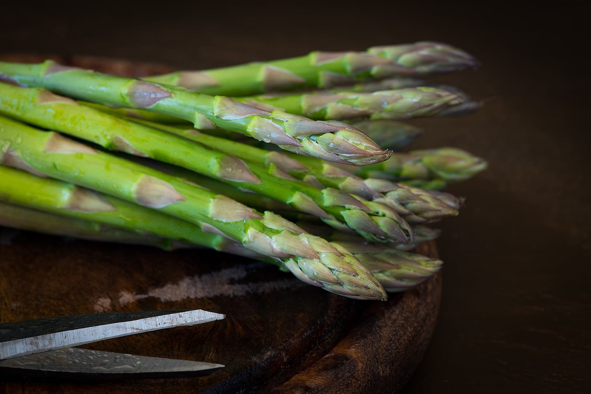 food for thought asparagus