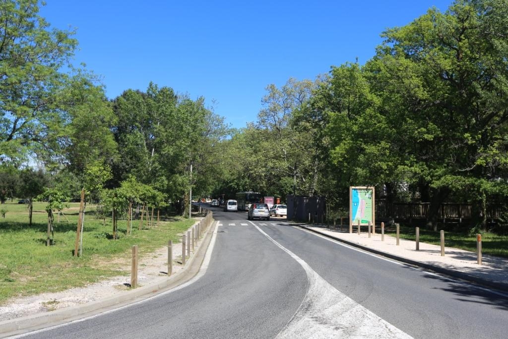 Avenue Jordi Barre in Argelès - P-O Life