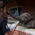 Baby elephant with Megan Richards