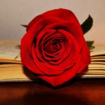 sant jordi