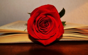 sant jordi