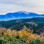 canigou