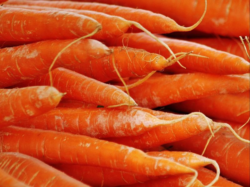 carrots food for thought