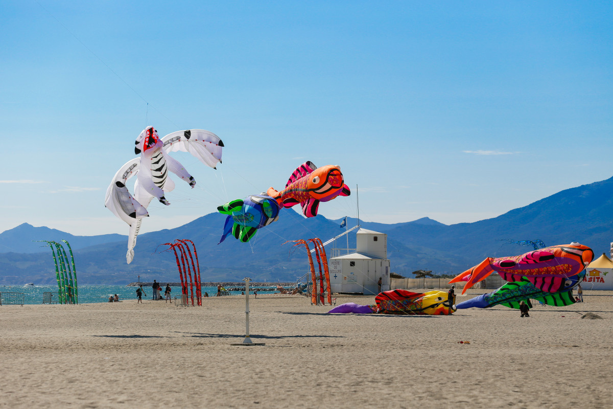 kite festival