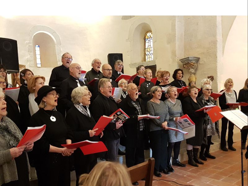 chorale internationale d'albera
