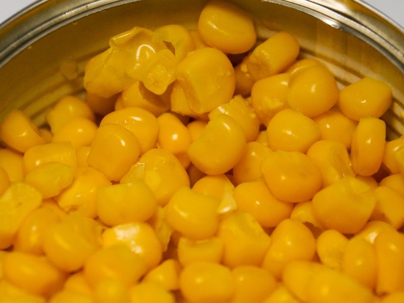 food for thought corn