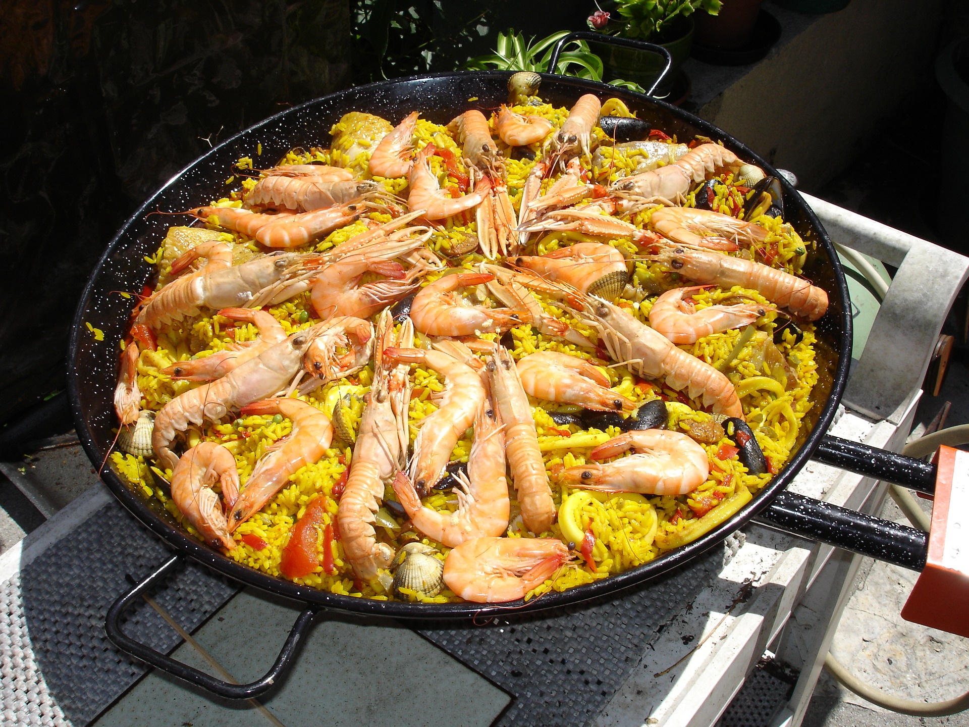 paella