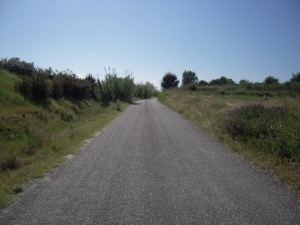 cycle_path