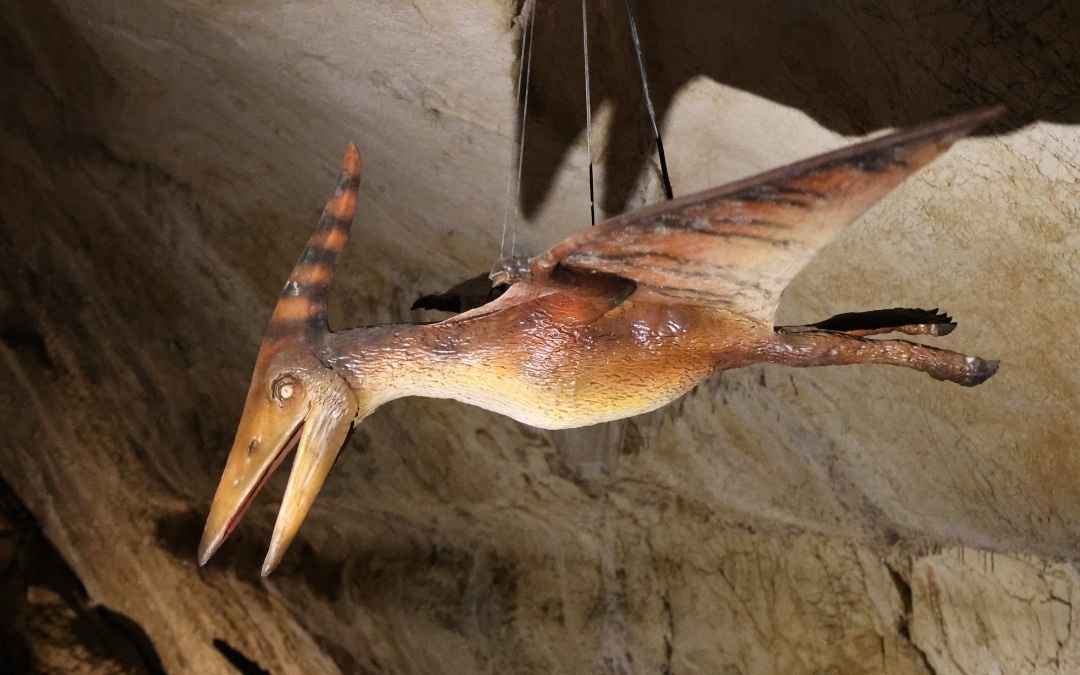 Family days out with the Bonds: Dinopedia Experience