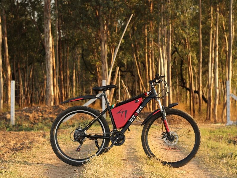 ebikes